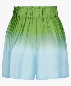 Palmy Dipdye
