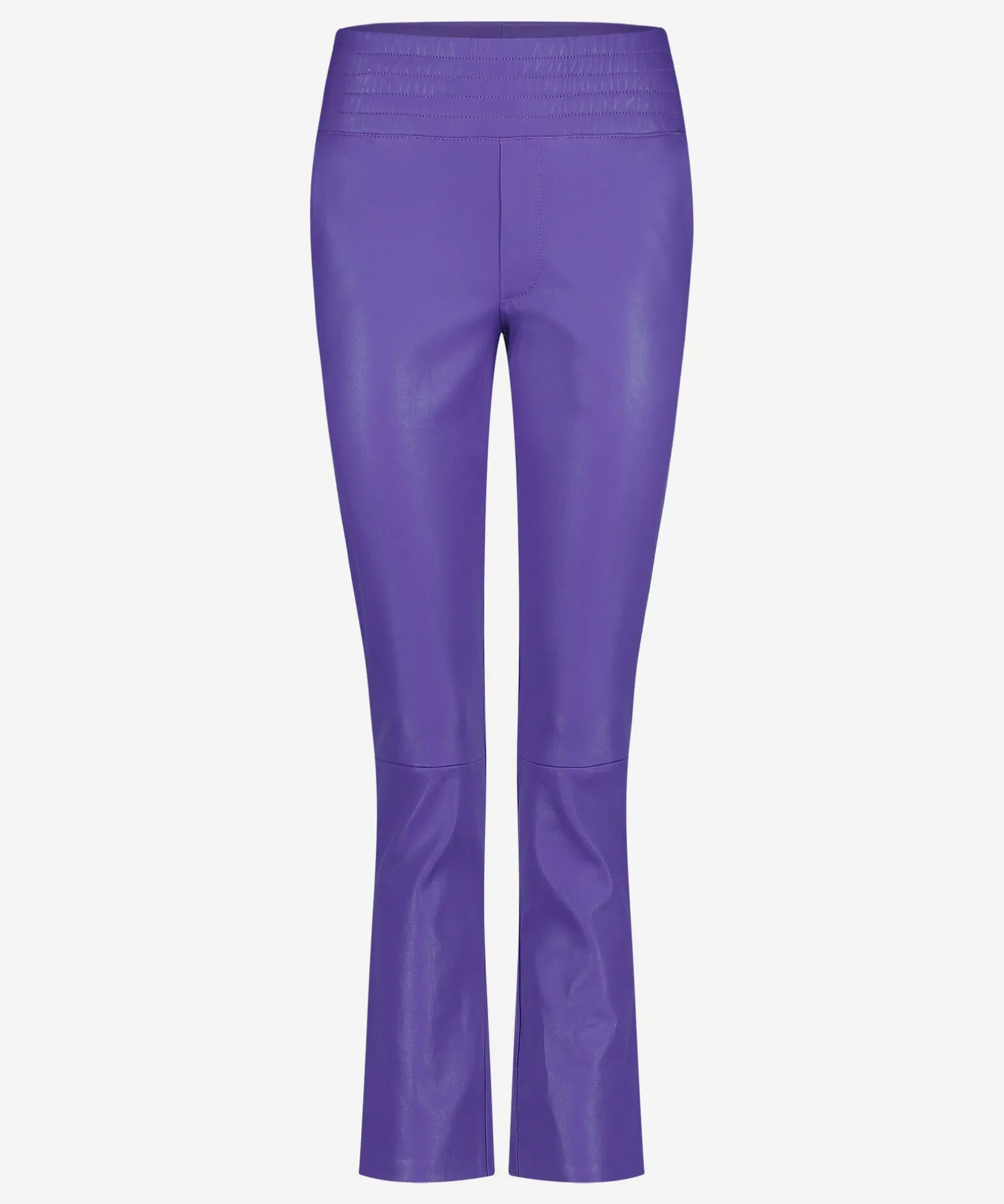 Phien Violet